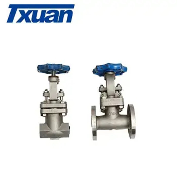 Globe Valve Series